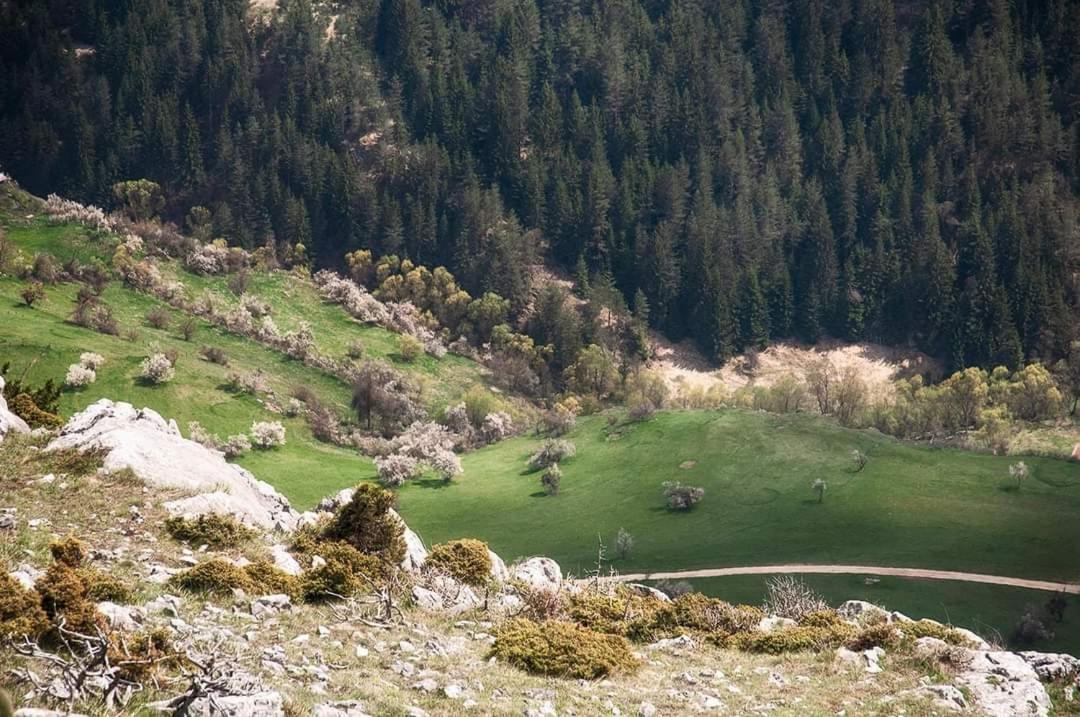 вила Здравец Ягодина Экстерьер фото